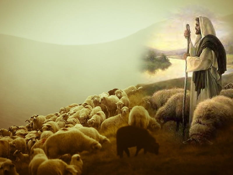 I am the Good Shepherd