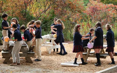 Making our way forward