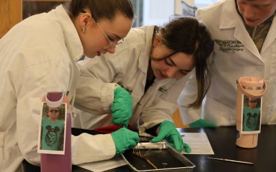 Quarter 3 Academic Honors